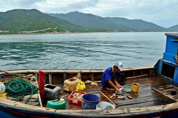 Ngư dân Bình Tiên ra khơi. Ảnh: FB Biển Bình Tiên Ngư dân Bình Tiên ra khơi. Ảnh: FB Biển Bình Tiên