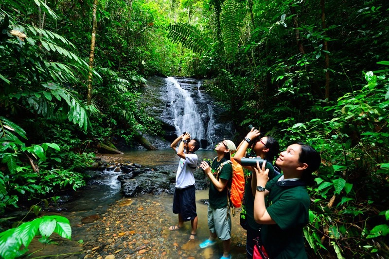 Công viên quốc gia Ulu Temburong là điểm dừng chân hấp dẫn không thể bỏ qua tại đất nước này. Công viên nằm trong khu vực tập trung những khu rừng nguyên sinh chưa được khai phá. Tạp chí du lịch nổi tiếng The Culture Trip từng nhận định nhờ chính sách bảo vệ của Quốc vương Brunei trong những năm 1990 đã ngăn chặn nạn phá rừng, bảo tồn hầu hết khu rừng nhiệt đới nguyên thủy. Ảnh: Gody.