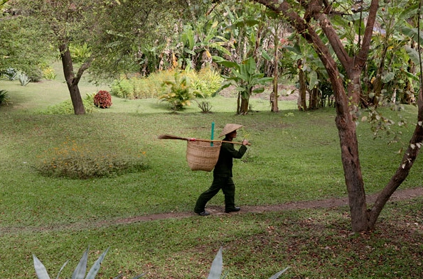 Quang cảnh tươi mát, thoáng đãng xung quanh La Residence Phou Vao.