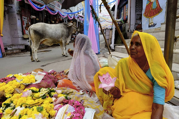 Một góc phố Udaipur nằm ngay giữa dãy núi Aravalli, vùng Rajasthan. Ảnh: Tim Bird