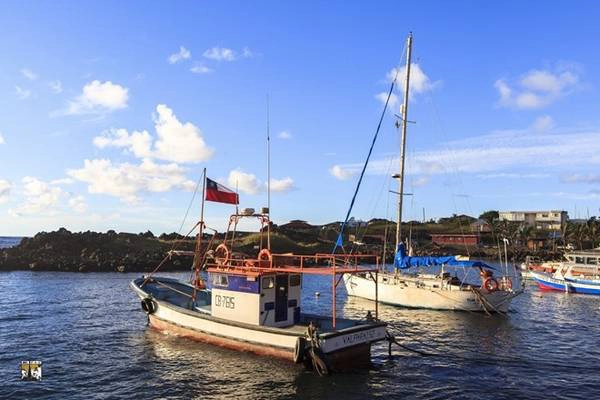 Người Rapa Nui sinh sống chủ yếu bằng đánh bắt cá và chăn nuôi gia súc. Họ luôn tìm mọi cách để giữ gìn các phong tục truyền thống, và từ chối sự xâm nhập của nền văn minh bên ngoài. Dân số trên đảo xấp xỉ 5.000 người, trong đó số người bản địa chính gốc chỉ chiếm khoảng hơn một nửa. Thị trấn duy nhất trên đảo là Hanga Roa. Ở đây có được dăm ba hàng quán, khách sạn, các cửa hàng tạp hóa và vài con đường nhựa dọc ngang qua mấy cơ quan hành chính, trường học, ngân hàng, bưu điện và bảo tàng .
