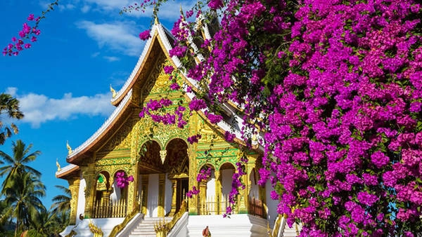 Luang Pra Bang với những ngôi chùa cổ kính - Ảnh: Internet Luang Pra Bang với những ngôi chùa cổ kính - Ảnh: Internet