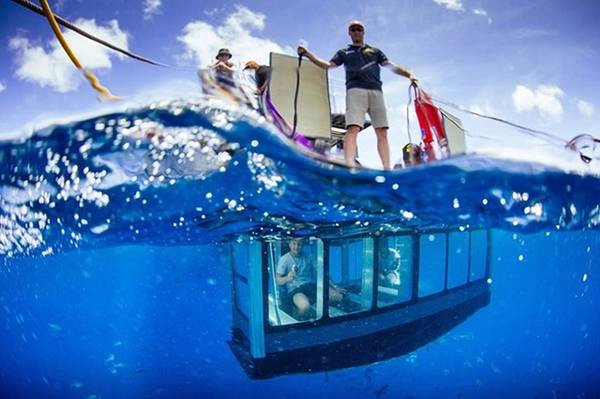 Ở Australia, có dịch vụ ngắm cá mập trong lồng kính thả xuống biển. Nếu đủ can đảm, bạn có thể đối diện với cá mập và ghi lại những khoảnh khắc tuyệt vời. Ở Australia, có dịch vụ ngắm cá mập trong lồng kính thả xuống biển. Nếu đủ can đảm, bạn có thể đối diện với cá mập và ghi lại những khoảnh khắc tuyệt vời.