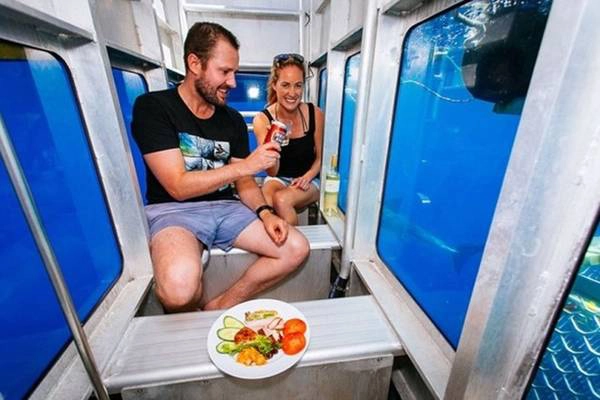 Dịch vụ này do hãng Adventure Bay Charters cung cấp cho du khách. Dịch vụ này do hãng Adventure Bay Charters cung cấp cho du khách.