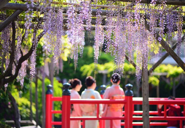 Ảnh: anhbuon.net Ảnh: anhbuon.net