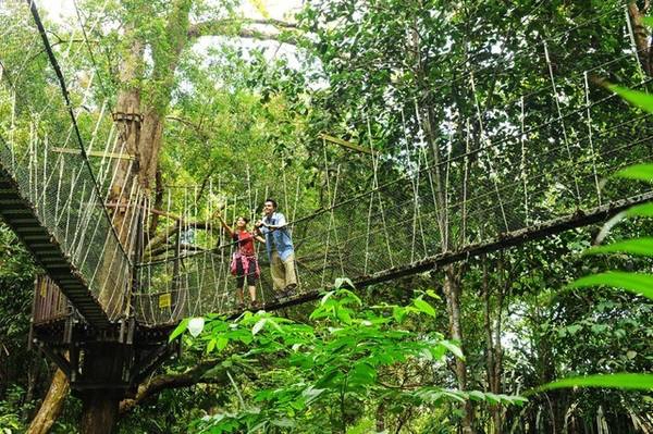 Công viên Quốc gia Penang với khuôn viên rộng hơn 2.500 ha sẽ làm bạn “lạc lối” trong thế giới xanh ngắt của gần 50 loài chim, thỏa sức tận hưởng không khí mát lành của rừng mưa nhiệt đời. Công viên Quốc gia Penang với khuôn viên rộng hơn 2.500 ha sẽ làm bạn “lạc lối” trong thế giới xanh ngắt của gần 50 loài chim, thỏa sức tận hưởng không khí mát lành của rừng mưa nhiệt đời.