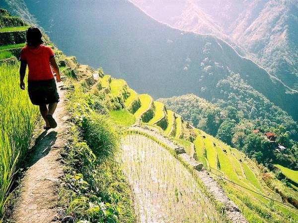 Ruộng bậc thang Banaue. Ảnh: Eesti