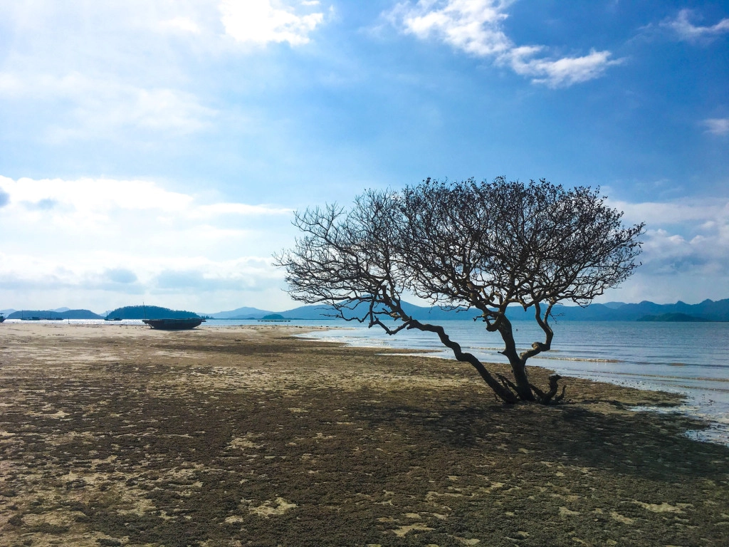 Đảo Quan Lạn: Quan Lạn hoang sơ nằm trong vịnh Bái Tử Long, thuộc địa phận huyện đảo Vân Đồn, là điểm đến không còn xa lạ với dân mê xê dịch. Tuy là điểm đến không mới, Quan Lạn vẫn thu hút du khách bởi vẻ đẹp thiên nhiên hoang sơ, bầu không khí trong lành, các hoạt động trải nghiệm du lịch gần gũi với dân địa phương. Ảnh: Tuấn Đào.