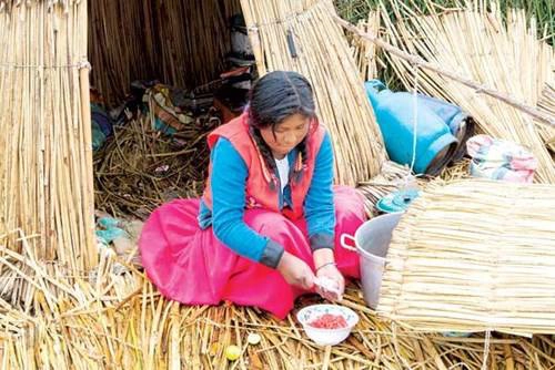 Chuẩn bị buổi trưa