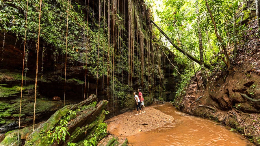 Tạo hóa quả thực rất ưu ái Brazil khi ban cho nơi đây cảnh quan rừng nhiệt đới xanh tươi cùng biển cát trắng mịn và những thị trấn hoang sơ đa sắc màu. Đây là quốc gia có độ đa dạng sinh học cao nhất thế giới, hơn hẳn những nơi khác. Tạo hóa quả thực rất ưu ái Brazil khi ban cho nơi đây cảnh quan rừng nhiệt đới xanh tươi cùng biển cát trắng mịn và những thị trấn hoang sơ đa sắc màu. Đây là quốc gia có độ đa dạng sinh học cao nhất thế giới, hơn hẳn những nơi khác.