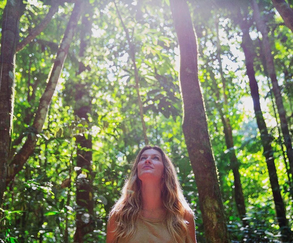 Siêu mẫu thế giới người Brazil Gisele Bündchen hoạt động rất tích cực trên mạng xã hội để kêu gọi chấm dứt nạn phá rừng. Cô gửi đi thông điệp nhấn mạnh vai trò quan trọng cân bằng tự nhiên của rừng Amazon và trách nhiệm bảo vệ là của toàn xã hội bởi cuộc sống loài người phụ thuộc lớn vào sự sống của thiên nhiên. Siêu mẫu thế giới người Brazil Gisele Bündchen hoạt động rất tích cực trên mạng xã hội để kêu gọi chấm dứt nạn phá rừng. Cô gửi đi thông điệp nhấn mạnh vai trò quan trọng cân bằng tự nhiên của rừng Amazon và trách nhiệm bảo vệ là của toàn xã hội bởi cuộc sống loài người phụ thuộc lớn vào sự sống của thiên nhiên.