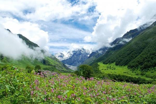 17. Ẩn mình trong dãy Himalaya, thung lũng hoa thuộc bang Uttarakhand với hơn 300 loài hoa nở tự nhiên tựa như một tấm thảm đầy màu sắc vắt ngang núi rừng. Ảnh: Alosh Bennett 17. Ẩn mình trong dãy Himalaya, thung lũng hoa thuộc bang Uttarakhand với hơn 300 loài hoa nở tự nhiên tựa như một tấm thảm đầy màu sắc vắt ngang núi rừng. Ảnh: Alosh Bennett