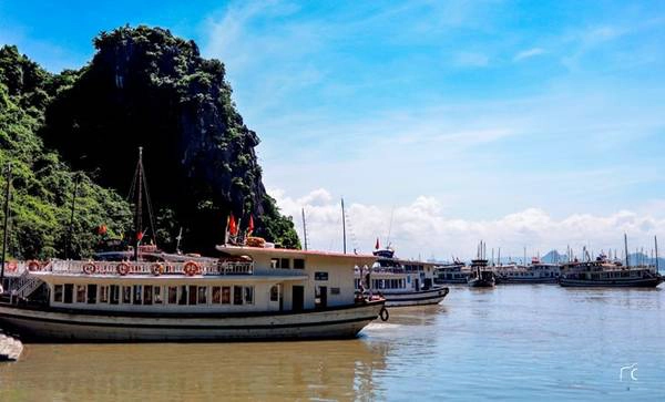 Đến Hạ Long vài lần, nhưng lần nào khi đặt chân đến Bãi Cháy (thành phố Hạ Long, tỉnh Quảng Ninh), khi nhóm bạn đi thuê tàu khám phá vịnh, tôi chỉ làm một việc là dõi mắt ra xa, ngắm phong cảnh. Hạ Long đón tôi như một người bạn đi xa lâu ngày gặp lại. Đến Hạ Long vài lần, nhưng lần nào khi đặt chân đến Bãi Cháy (thành phố Hạ Long, tỉnh Quảng Ninh), khi nhóm bạn đi thuê tàu khám phá vịnh, tôi chỉ làm một việc là dõi mắt ra xa, ngắm phong cảnh. Hạ Long đón tôi như một người bạn đi xa lâu ngày gặp lại.