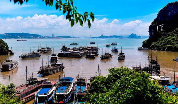 Ra khỏi động, chiếc cầu gỗ dài rợp bóng cây xanh lần nữa đưa bạn trở về tàu, tiếp tục hành trình khám phá vịnh. Ra khỏi động, chiếc cầu gỗ dài rợp bóng cây xanh lần nữa đưa bạn trở về tàu, tiếp tục hành trình khám phá vịnh.