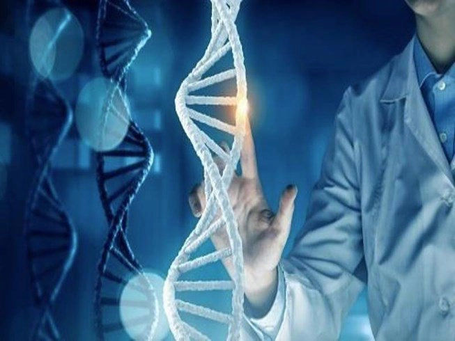 Bộ gen người có đặc điểm, tính chất gì?