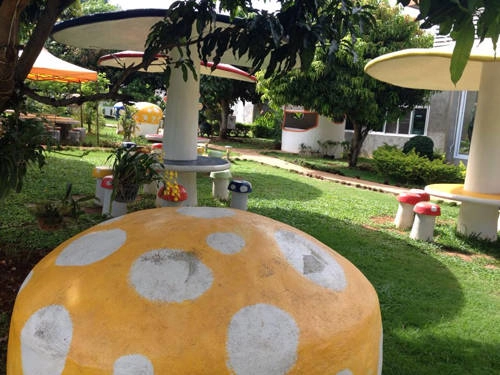 Một góc của trang trại trồng nấm ở Khao Yai.