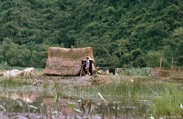 Những túp lều lá đầy vẻ thôn dã.