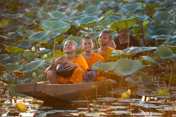 Những đứa trẻ Thái Lan giữa đầm sen. Những đứa trẻ Thái Lan giữa đầm sen.