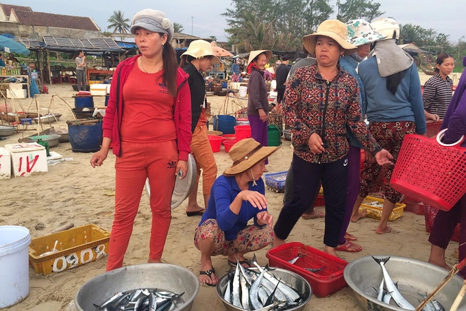 Hải sản được bày ngay trên cát biển để khách đi qua dễ thấy và lựa chọn.