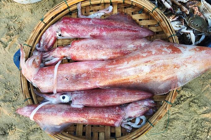 Mực ngày thường giá 100.000 đồng/kg, dịp lễ tăng gấp đôi.