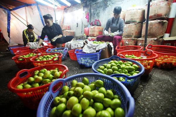 Hoa quả ở chợ chủ yếu bán buôn, nhiều mặt hàng dễ đổ vỡ giập nát sẽ được chọn lọc, phân loại và bán theo mẫu mã chất lượng.