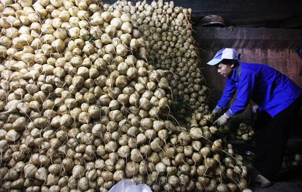 Chợ Long Biên hình thành từ năm 1992, lưu lượng hàng hoá qua chợ rất lớn, ước khoảng 300 tấn/ngày đêm đối với mặt hàng hoa quả, bên cạnh đó là nhiều mặt hàng khác.