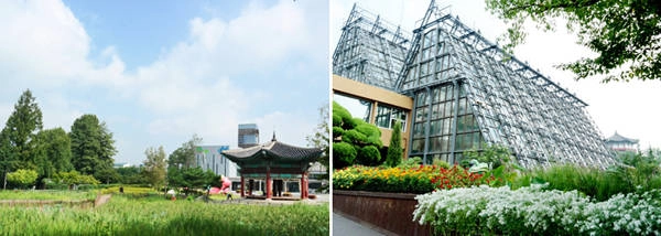 khu-kondae-sam-uat-o-seoul-cho-tin-do-mua-sam-ivivu-7