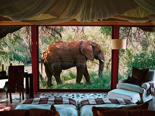 Khu nghỉ dưỡng Makanyane, Madikwe Game Reserve, Nam Phi Khu nghỉ dưỡng Makanyane, Madikwe Game Reserve, Nam Phi
