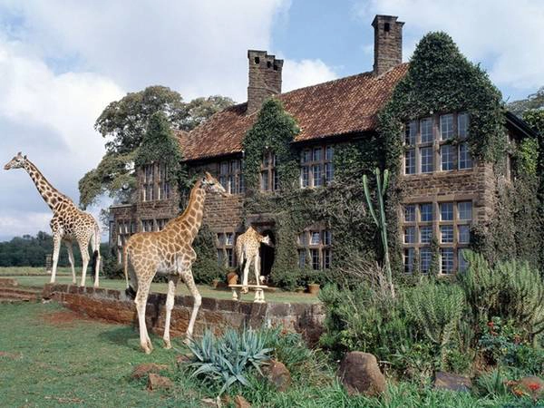 Giraffe Manor, Nairobi, Kenya Giraffe Manor, Nairobi, Kenya