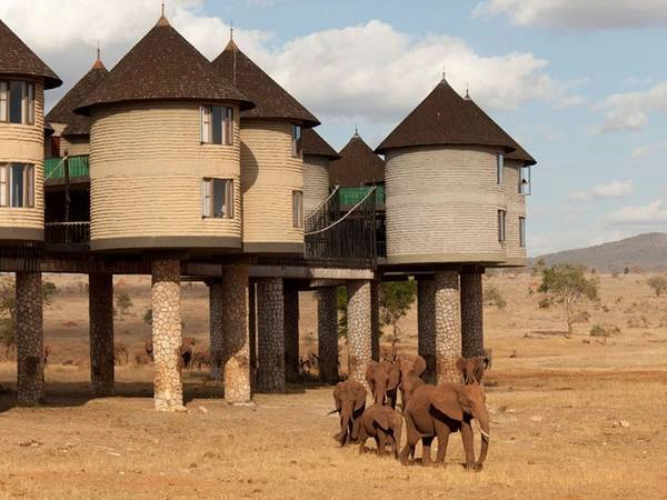 Sarova Salt Lick Game Lodge, Tsavo, Kenya Sarova Salt Lick Game Lodge, Tsavo, Kenya