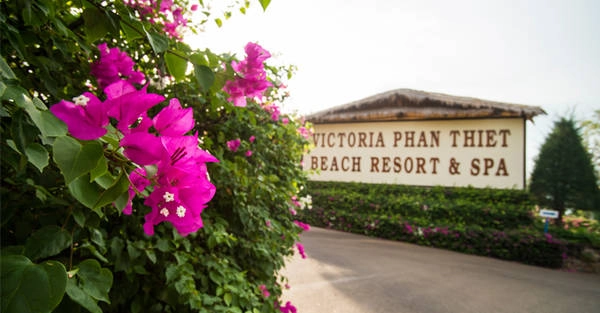Nằm “ẩn mình” giữa thủ đô resort, Victoria Phan Thiết Beach Resort & Spa sẽ là điểm dừng chân lý tưởng cho gia đình bạn trong kì nghỉ sắp tới.