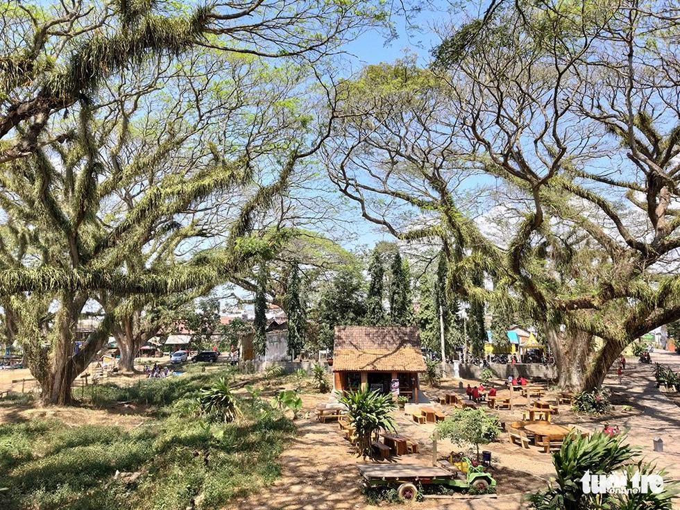 Khu rừng được tô điểm để trông như một công viên chủ đề mang nét hoài cổ - Ảnh: ĐẠI AN