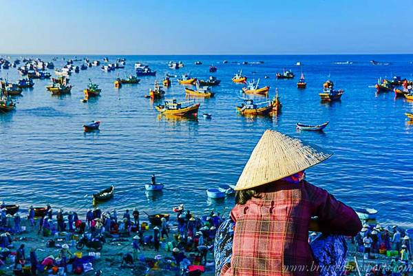 Khung cảnh tấp nập người mua, kẻ bán tại làng chài vào buổi sáng. Khung cảnh tấp nập người mua, kẻ bán tại làng chài vào buổi sáng.