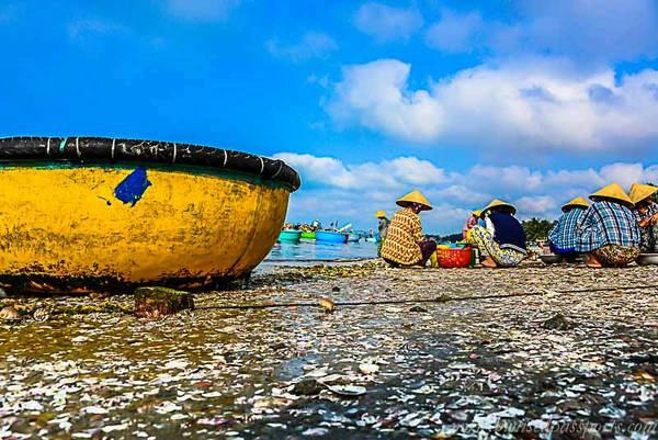 Điều thú vị là hải sản ở đây không chỉ bán bằng cách cân ký mà còn thường được mua mớ. Điều thú vị là hải sản ở đây không chỉ bán bằng cách cân ký mà còn thường được mua mớ.