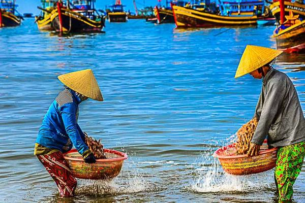 Hải sản phân loại sẽ được đựng riêng trong những chiếc rổ khác nhau. Hải sản phân loại sẽ được đựng riêng trong những chiếc rổ khác nhau.