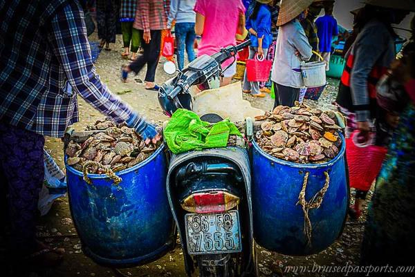 Hải sản được bán cho các chủ nhà hàng hoặc thương lái ngay tại chỗ. Hải sản được bán cho các chủ nhà hàng hoặc thương lái ngay tại chỗ.