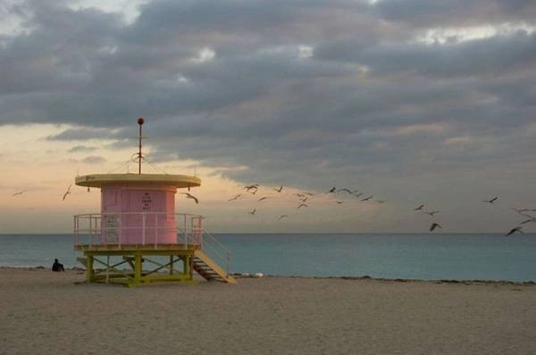 Thức dậy thật sớm, đi dạo ở South Beach, Miami, bạn không chỉ được ngắm nhìn cảnh bình mình hé rạng chân trời mà còn nhìn thấy những chú mòng biển bay rất gần, tạo nên một khung cảnh đẹp đến ngỡ ngàng. Thức dậy thật sớm, đi dạo ở South Beach, Miami, bạn không chỉ được ngắm nhìn cảnh bình mình hé rạng chân trời mà còn nhìn thấy những chú mòng biển bay rất gần, tạo nên một khung cảnh đẹp đến ngỡ ngàng.