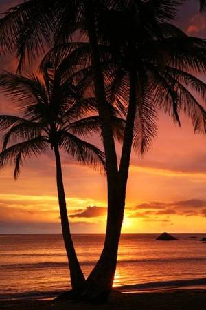 Màu sắc ngoạn mục ở Playa Lucia, Puerto Rico vào lúc mặt trời mọc. Màu sắc ngoạn mục ở Playa Lucia, Puerto Rico vào lúc mặt trời mọc.