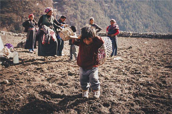 Những đứa trẻ đang theo ba mẹ đi làm.