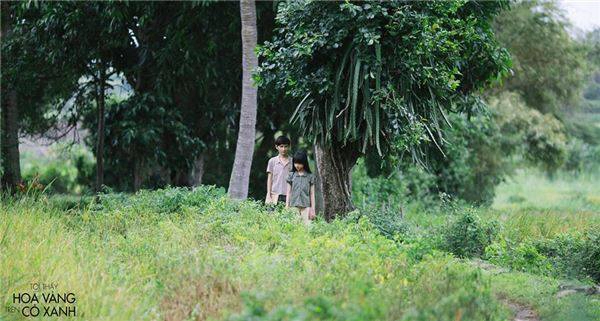 khung-canh-dong-que-phu-yen-dep-binh-di-trong--toi-thay-hoa-vang-tren-co-xanh-ivivu-121