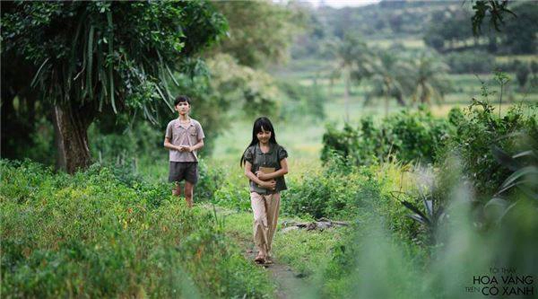 khung-canh-dong-que-phu-yen-dep-binh-di-trong--toi-thay-hoa-vang-tren-co-xanh-ivivu-122