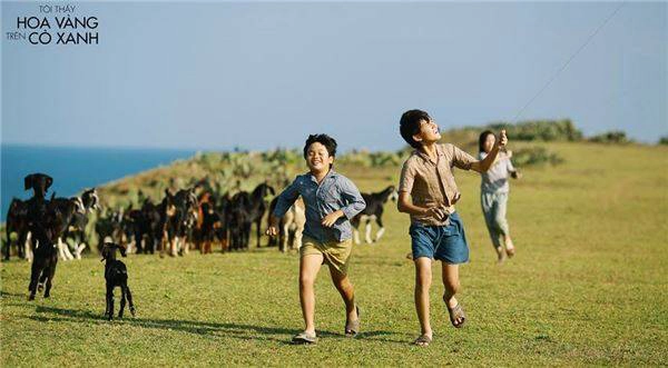 khung-canh-dong-que-phu-yen-dep-binh-di-trong--toi-thay-hoa-vang-tren-co-xanh-ivivu-130