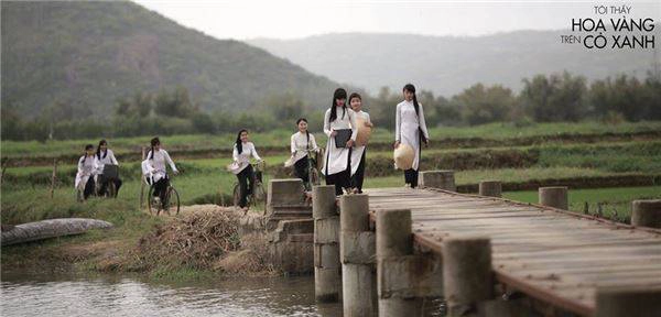 khung-canh-dong-que-phu-yen-dep-binh-di-trong--toi-thay-hoa-vang-tren-co-xanh-ivivu-19