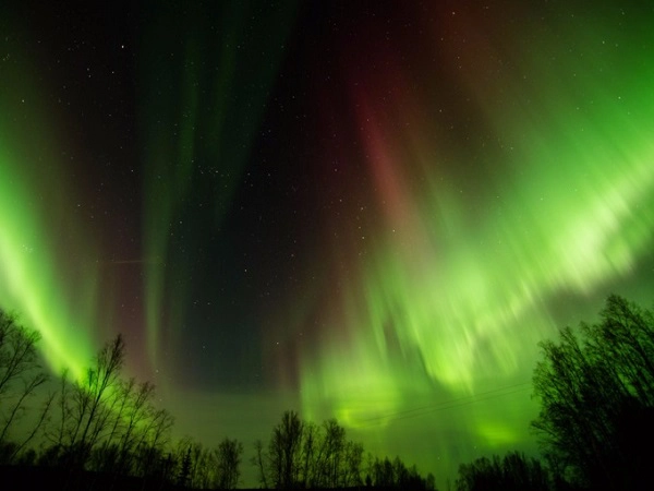 Alaska cũng nằm trong danh sách những địa điểm ngắm cực quang lung linh nhất năm nay. Hiện tượng nguyệt thực toàn phần được dự đoán sẽ xảy ra vào rạng sáng ngày 31/1, từ 3h51 đến 4h29 giờ địa phương khi mặt trăng chuyển dần sang màu hồng hoặc đỏ, xung quanh là ánh sáng xanh liên tục thay đổi. Alaska cũng nằm trong danh sách những địa điểm ngắm cực quang lung linh nhất năm nay. Hiện tượng nguyệt thực toàn phần được dự đoán sẽ xảy ra vào rạng sáng ngày 31/1, từ 3h51 đến 4h29 giờ địa phương khi mặt trăng chuyển dần sang màu hồng hoặc đỏ, xung quanh là ánh sáng xanh liên tục thay đổi.