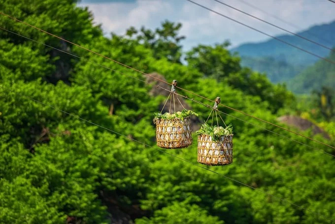 Một trong những nơi trồng na nổi tiếng Chi Lăng là núi đá Đồng Bành, nằm ở độ cao khoảng 200 m. Những giỏ na sau khi thu hoạch được vận chuyển bằng ròng rọc từ trên cao xuống chân núi. “Hai sọt na được chuyển xuống, dây cáp lại kéo hai sọt rỗng lên. Cứ thế những quả na được vận chuyển nhanh chóng và an toàn”, nhiếp ảnh gia Bùi Vinh Thuận (Lạng Sơn), người vừa có chuyến đi chụp ảnh mùa thu hoạch na kể lại.