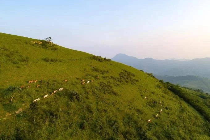 Cách trung tâm huyện Chi Lăng gần 30 km, điểm đến tiếp theo được nhiều du khách ưa thích sau khi tham quan Ải Chi Lăng là đồi Khau Sao (Khau Slao), thuộc thôn Suối Mạ A, xã Hữu Kiên. Địa danh này được nhiều người ví như “Mẫu Sơn thứ hai”, “thảo nguyên xanh của Lạng Sơn". Ngọn đồi có độ cao 760 m so với mực nước biển, rộng hơn 144 ha, có địa hình gồ ghề và khá khó đi. Nơi này được người dân địa phương dùng để chăn thả gia súc như ngựa, trâu, bò. Hiện có hơn 1.700 con ngựa tại đồi, trong đó gần 700 con ngựa bạch thuần chủng.