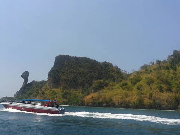 Đảo con gà Đảo con gà