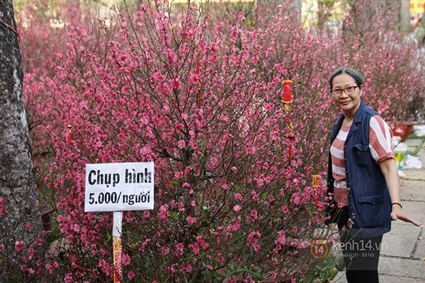 Lần đầu tiên ở Sài Gòn, chụp hình với hoa bị thu phí.