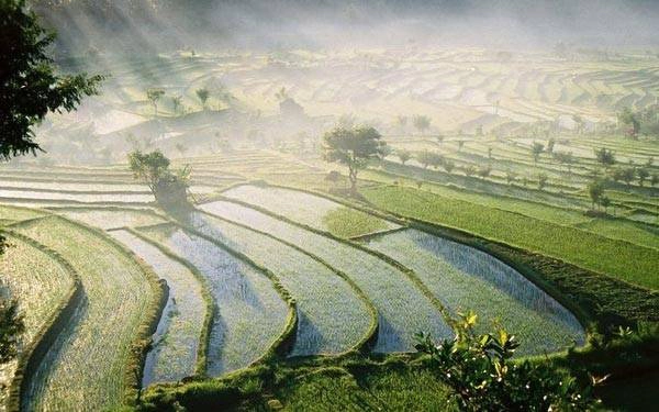 Kinh nghiệm du lịch Bali Kinh nghiệm du lịch Bali