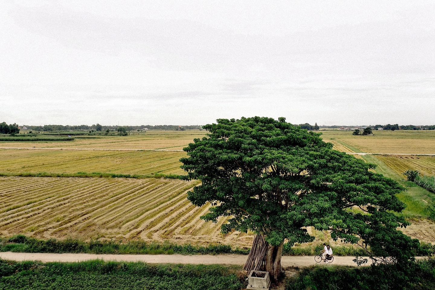 Cảnh sắc thiên nhiên của mảnh đất Thần Kinh đẹp tựa tranh vẽ, làm say đắm lòng người. Ảnh: Tuan NA.